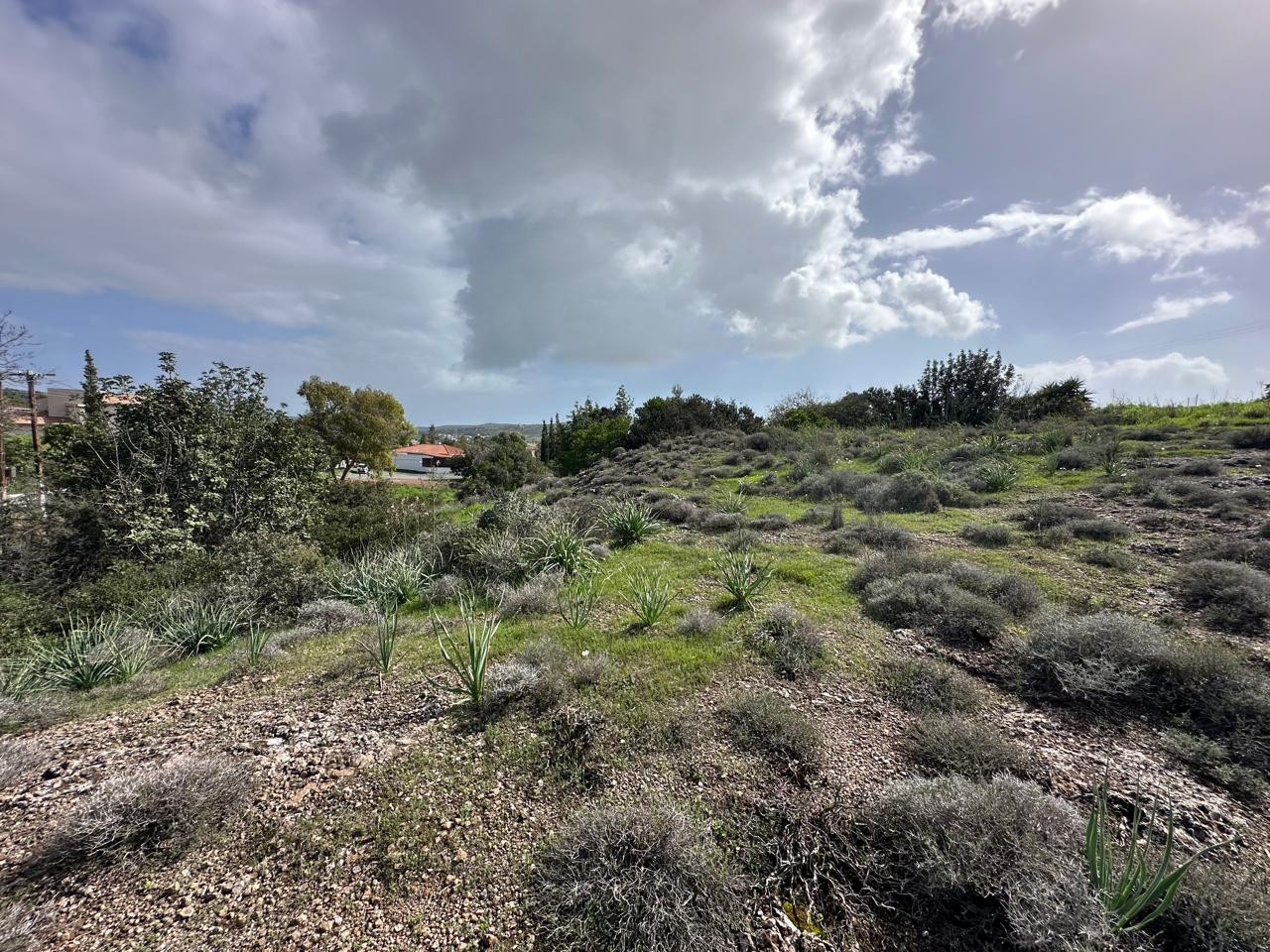 Земельные участки  Мони, Кипр