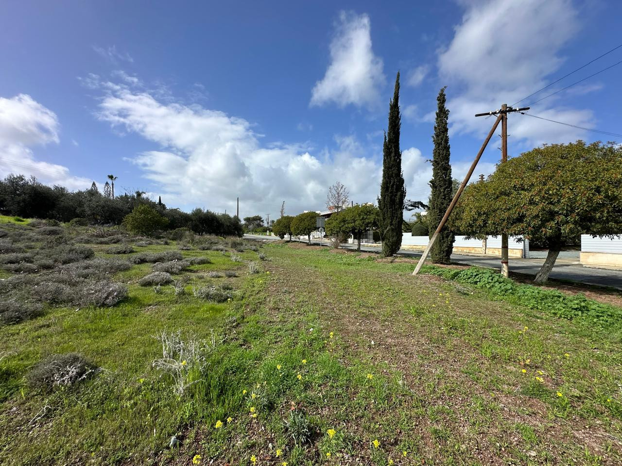 Земельные участки  Мони, Кипр