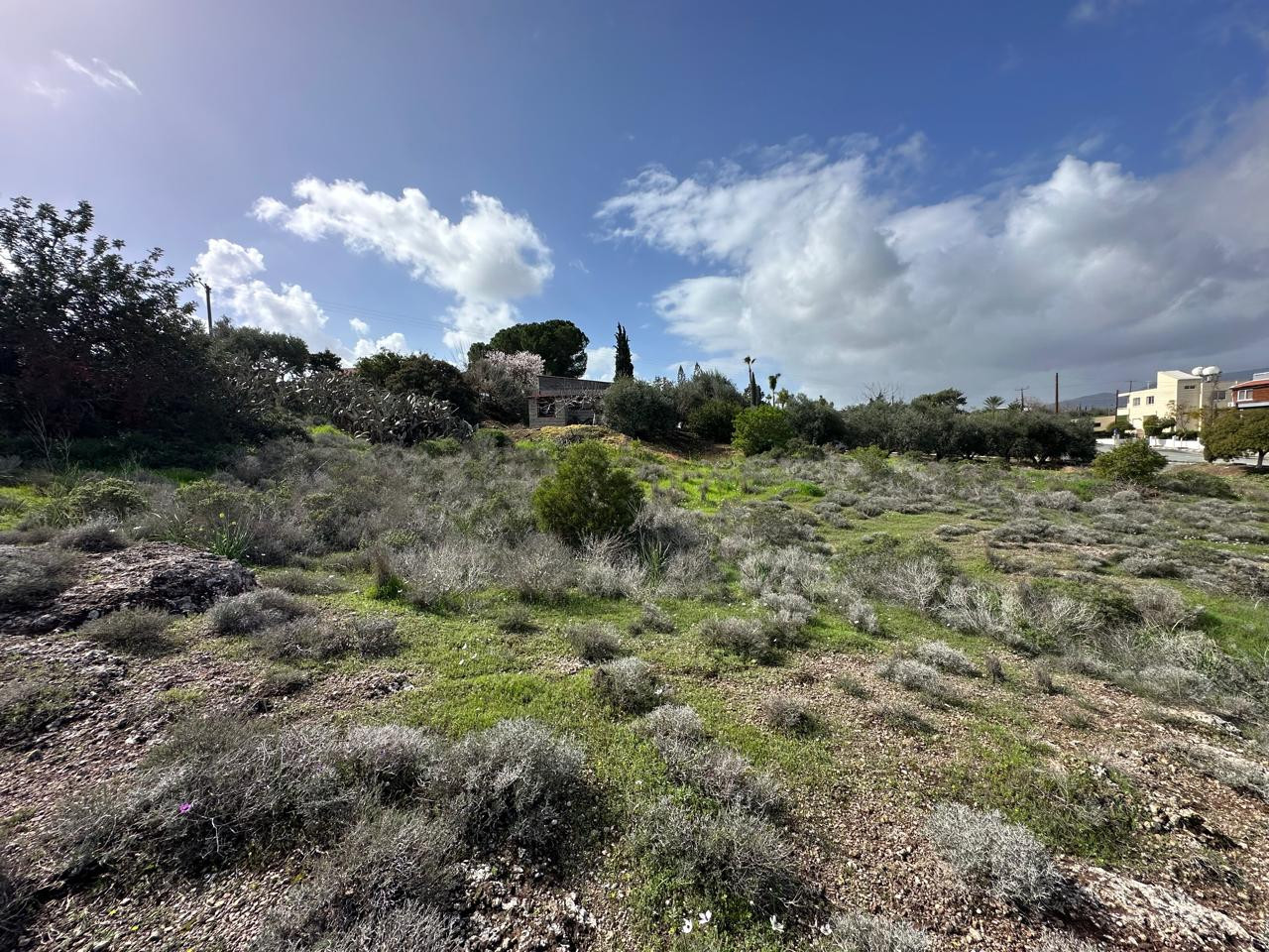 Земельные участки  Мони, Кипр