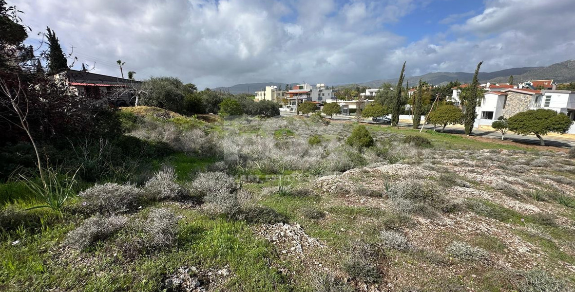 Prime Residential Plot for Sale – Moni Area