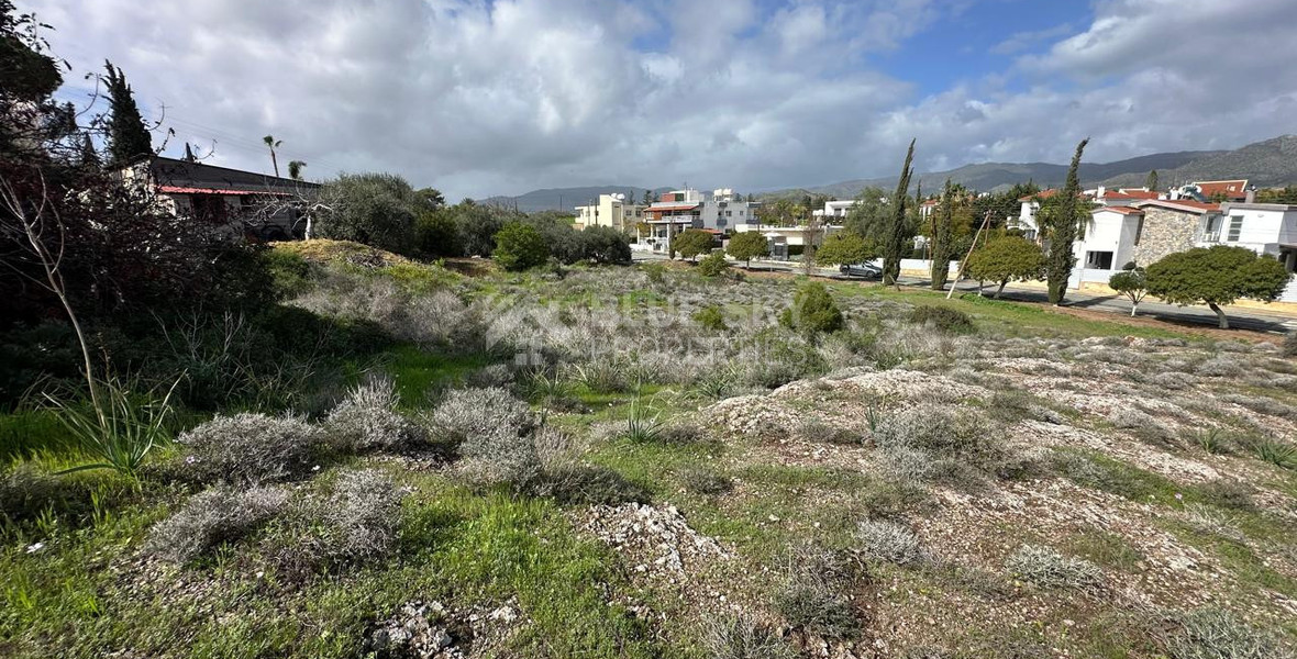 Prime Residential Plot for Sale – Moni Area