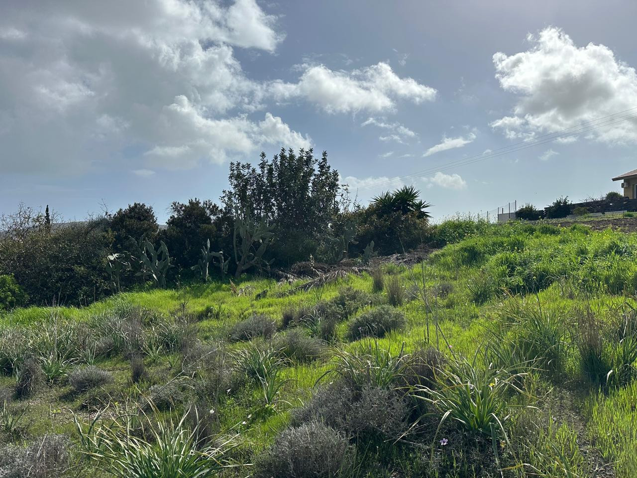 Земельные участки  Мони, Кипр