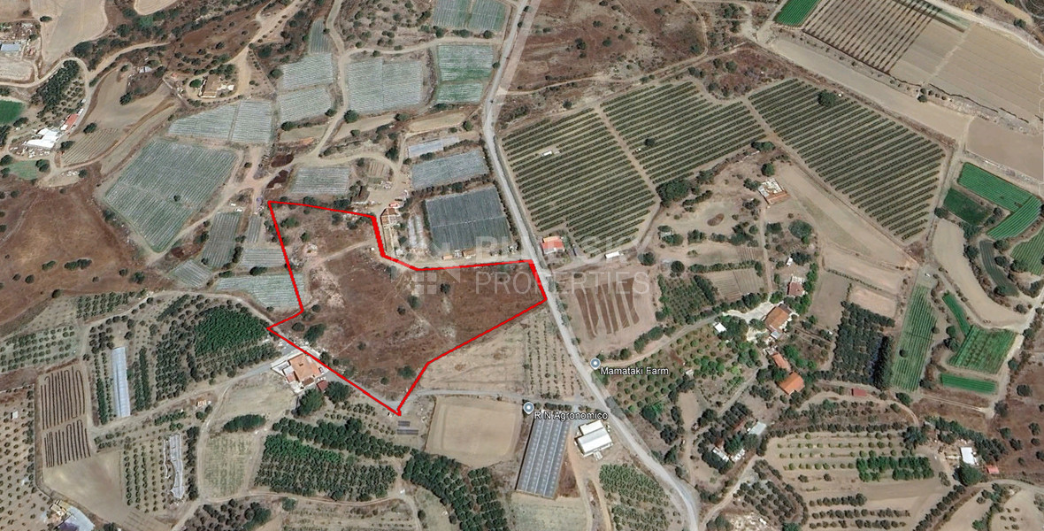 Large Field  for Sale in Moni Village