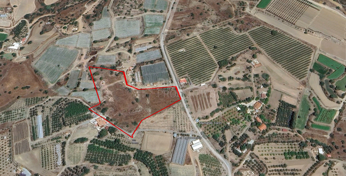 Large Field  for Sale in Moni Village