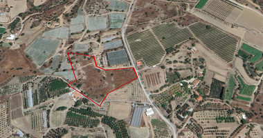 Large Field  for Sale in Moni Village