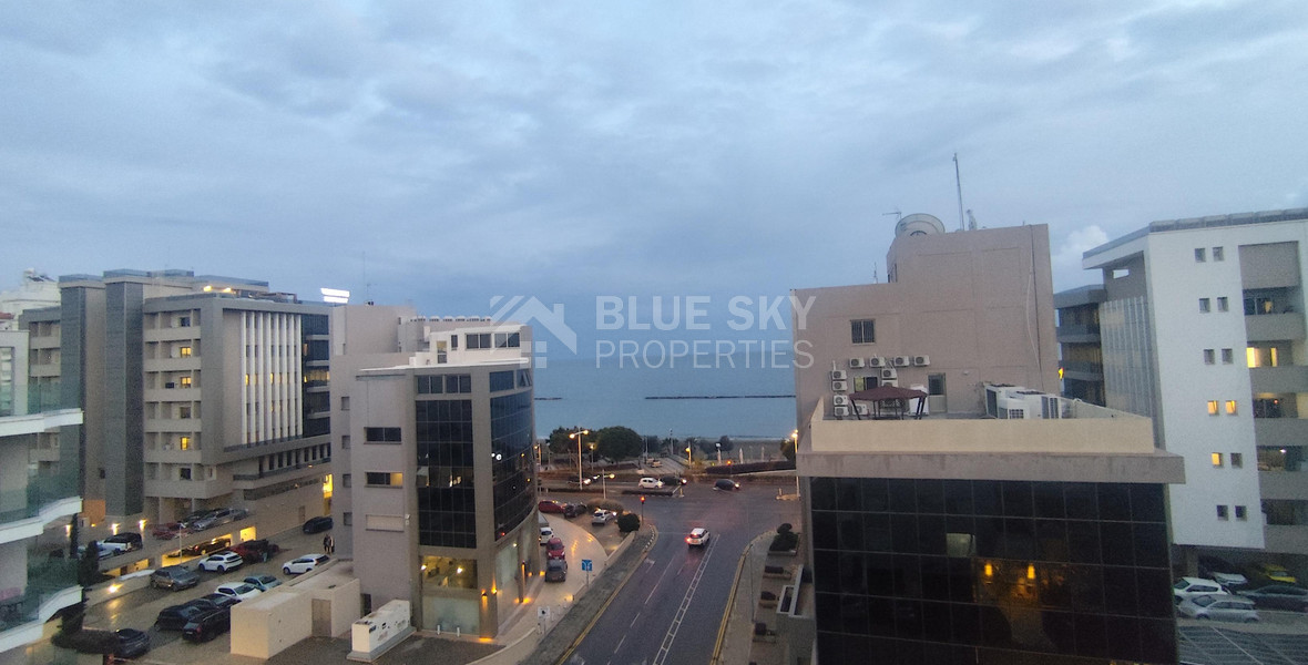 Luxury three bedroom apartment with Roof Garden & Panoramic Sea View - Neapoli