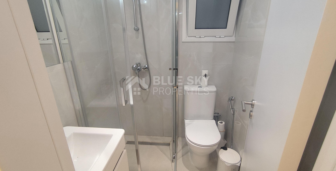 Luxury three bedroom apartment with Roof Garden & Panoramic Sea View - Neapoli