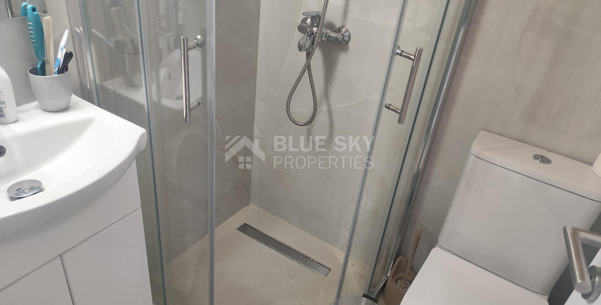 Luxury three bedroom apartment with Roof Garden & Panoramic Sea View - Neapoli