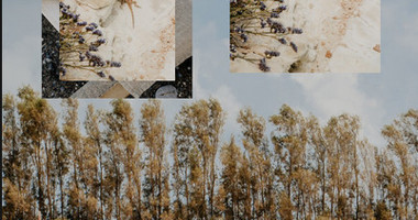 A premium gated four bedroom luxury villa located in the Pegeia , Paphos