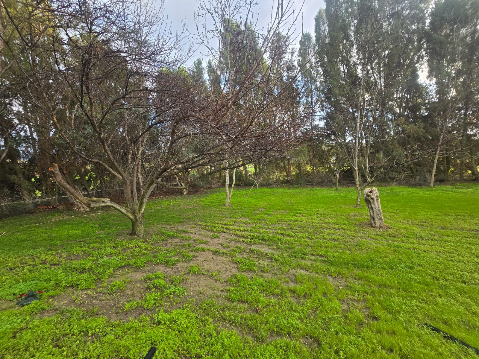 5 bedroom apartment 600 m² in Pyrgos Lemesou, Cyprus