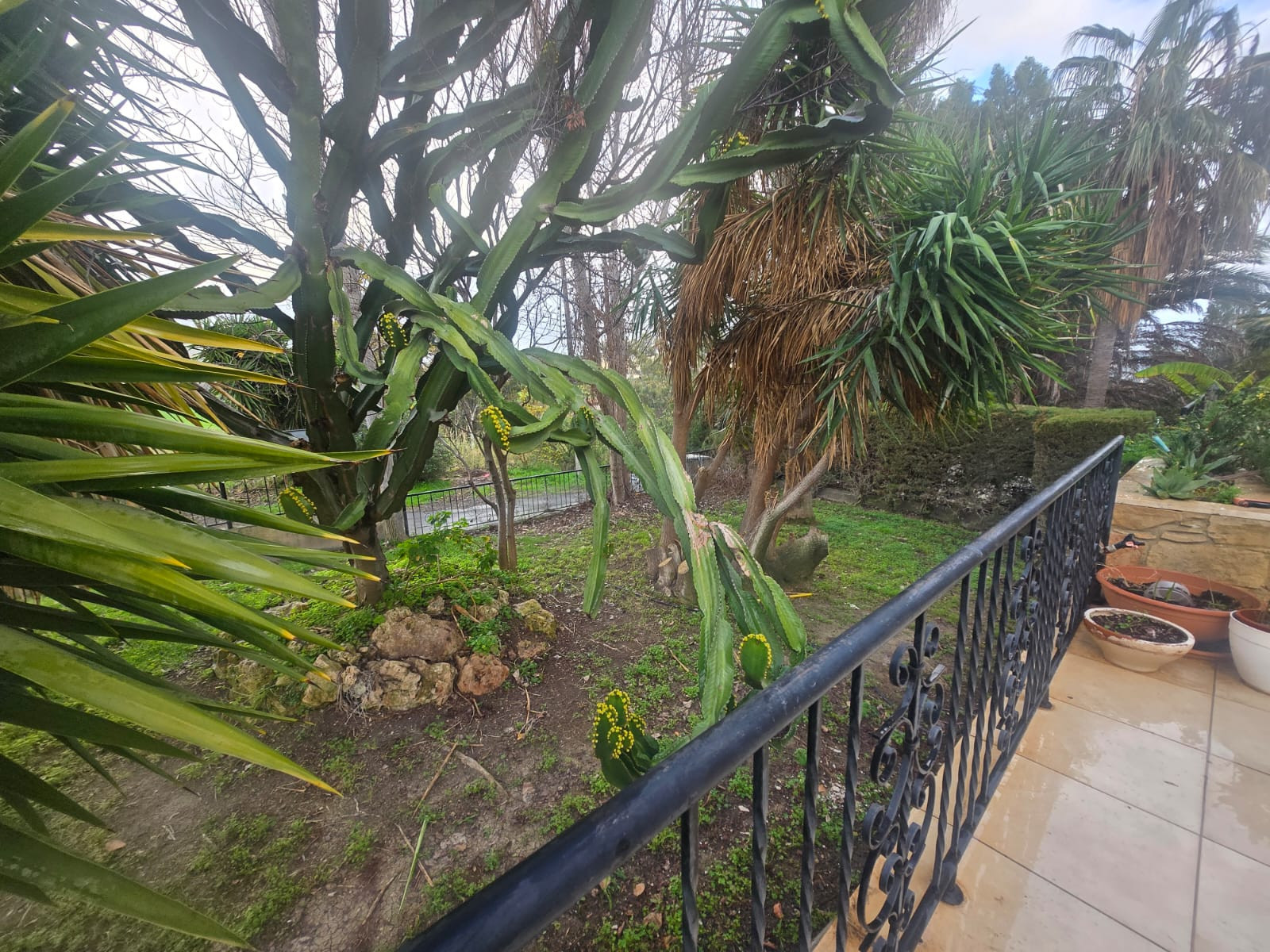 5 bedroom apartment 600 m² in Pyrgos Lemesou, Cyprus