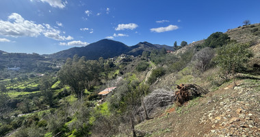 Large Residential Land 6812 m2 for Sale in Arakapas