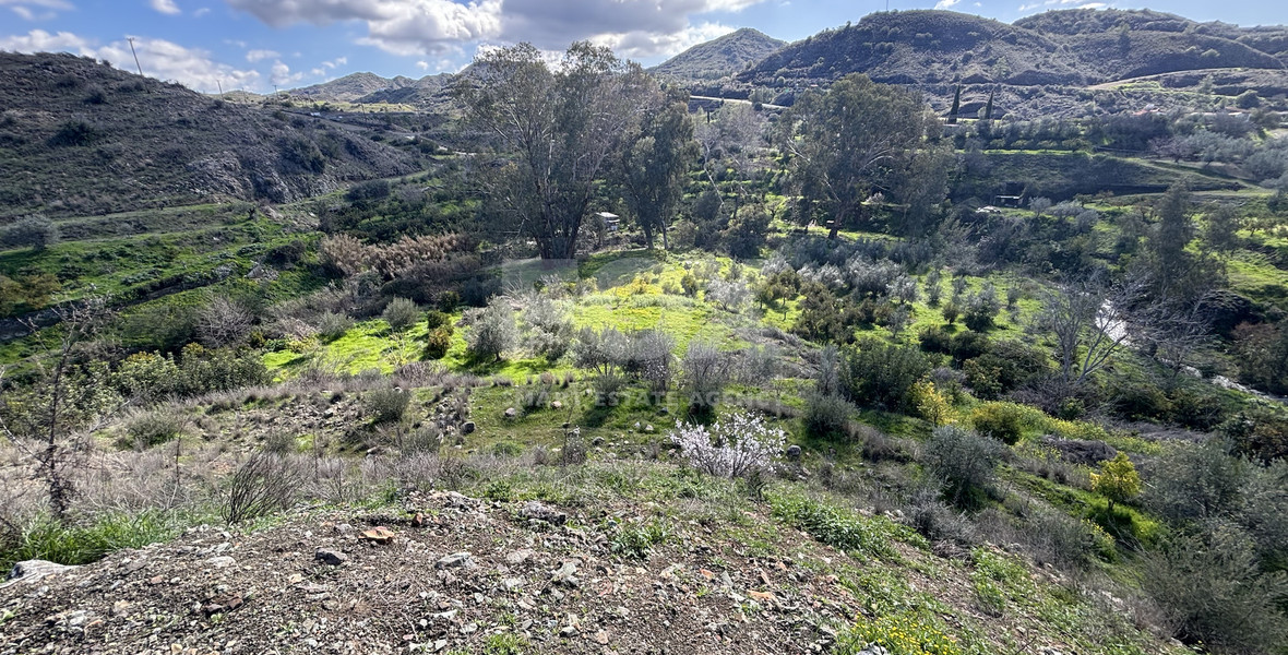 Large Residential Land 6812 m2 for Sale in Arakapas