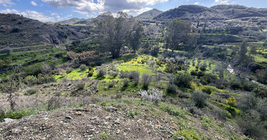 Large Residential Land 6812 m2 for Sale in Arakapas