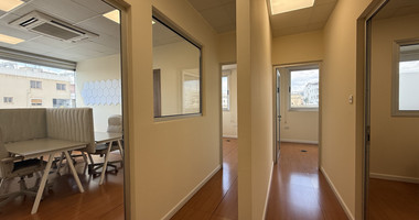 For Rent Premium Fully Furnished Commercial Offices - Commercial Avenue central Limassol Mesa Geitonia.