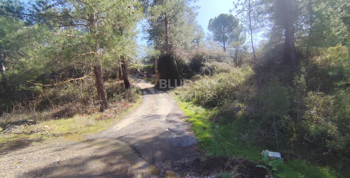 Two-Bedroom Detached House for Rent in Mandria – Near Limassol