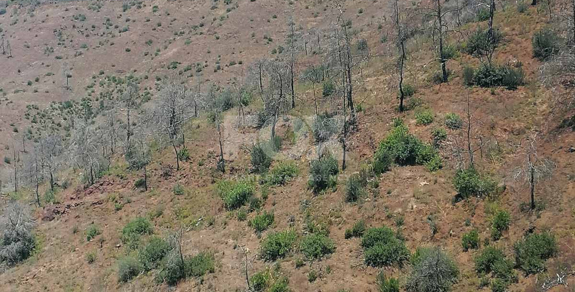 Agricultural Land for Sale in Moni – Ga5 Zone