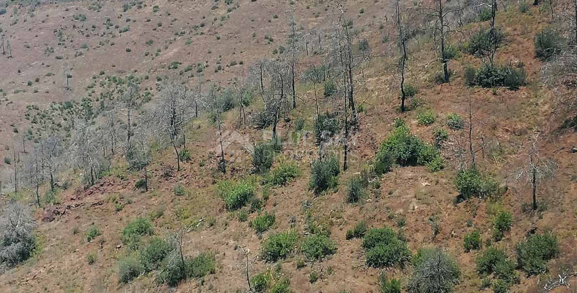 Agricultural Land for Sale in Moni – Ga5 Zone