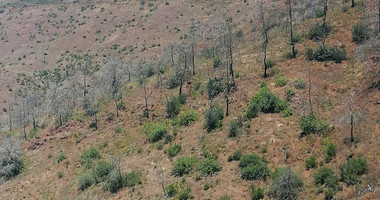 Agricultural Land for Sale in Moni – Ga5 Zone