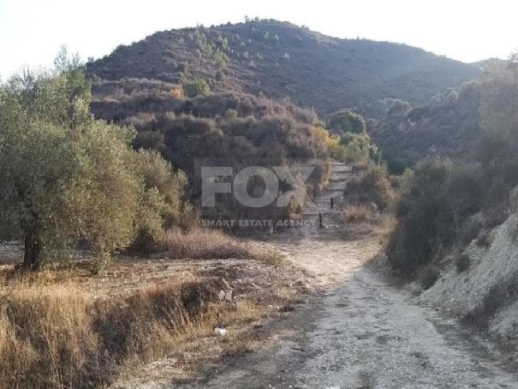Agricultural Land for Sale in Asgata Village – Limassol District