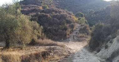 Agricultural Land for Sale in Asgata Village – Limassol District