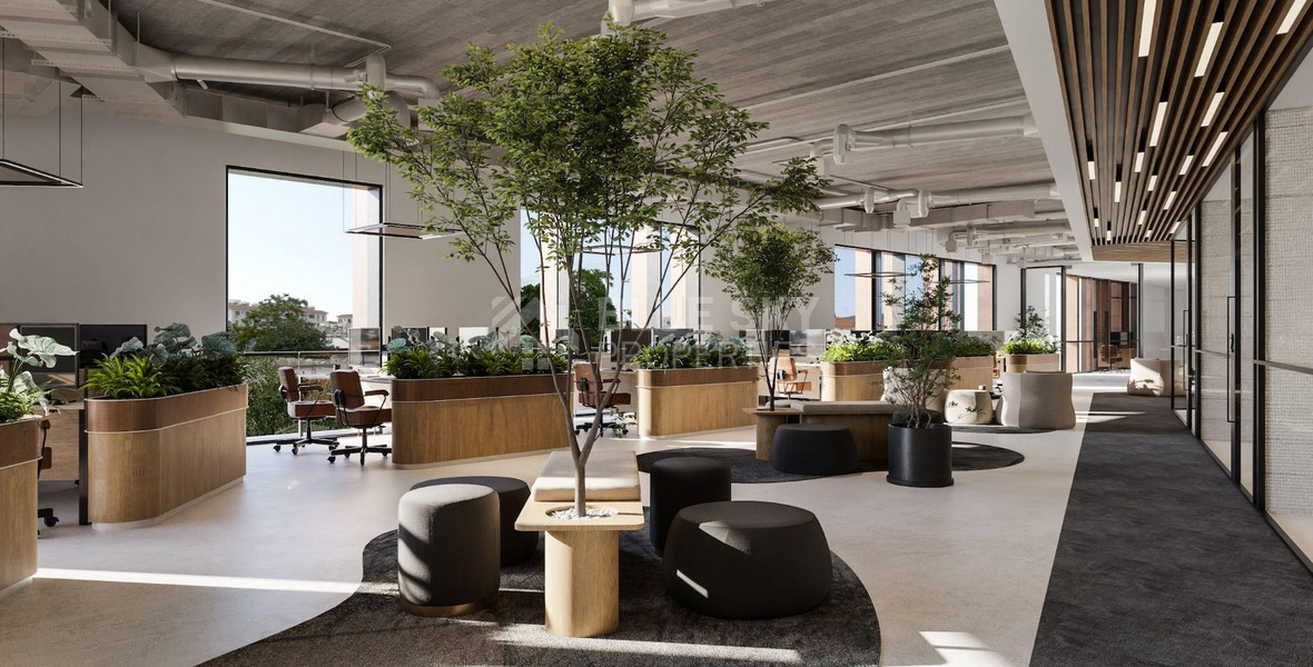 Premium Commercial Building for Rent  in Limassol Historical Center – Sustainable Luxury Workspace