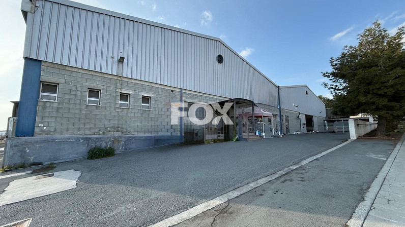 Warehouse 2290 m² for sale in Agios Sillas, Limassol, Cyprus