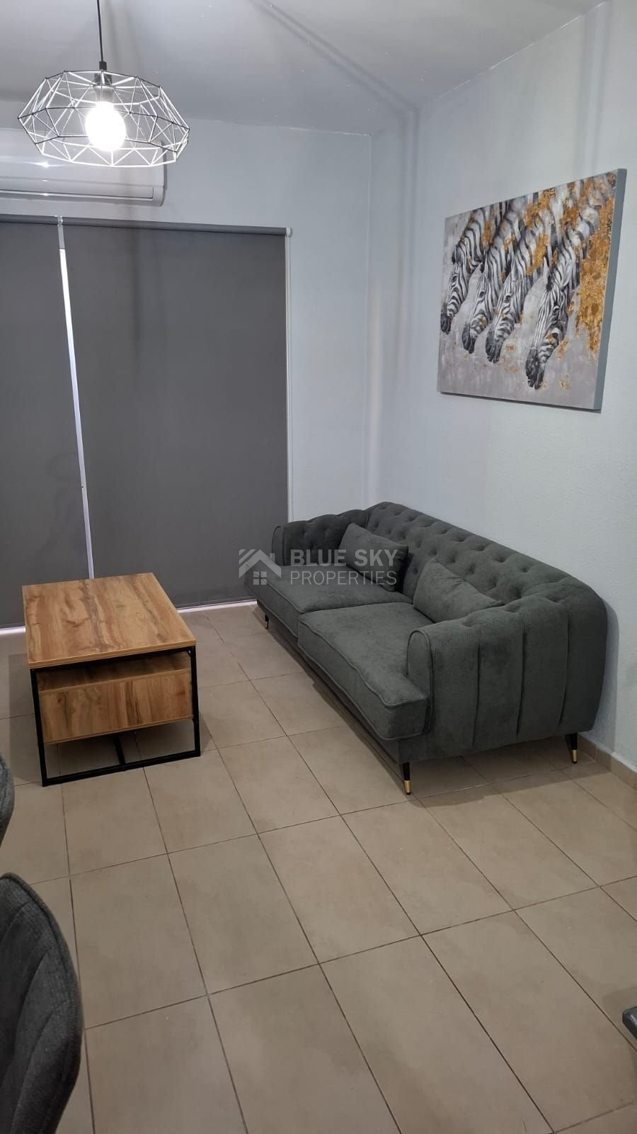 Modern Fully Furnished 1 Bedroom Apartment for Rent in Potamos Germasogeias