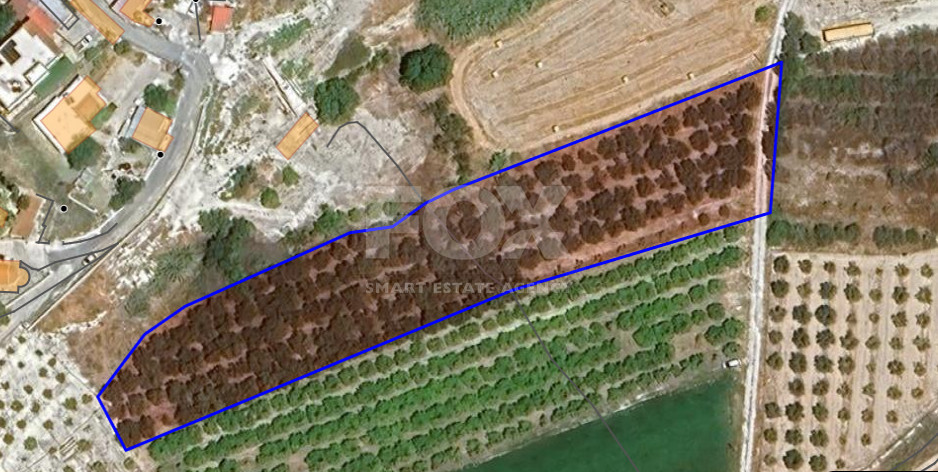 Field for Sale in Nikokleia Paphos – Agricultural and Residential Zone