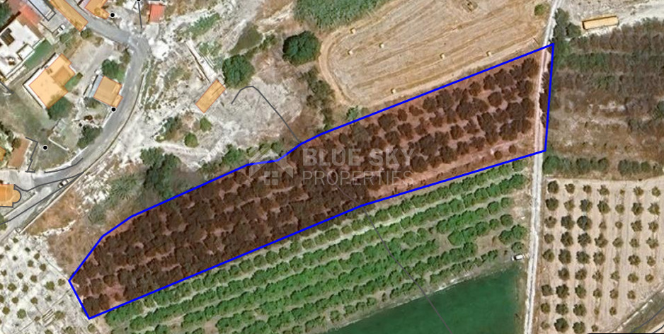 Field for Sale in Nikokleia Paphos – Agricultural and Residential Zone