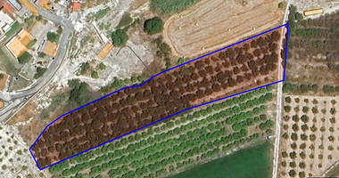 Field for Sale in Nikokleia Paphos – Agricultural and Residential Zone