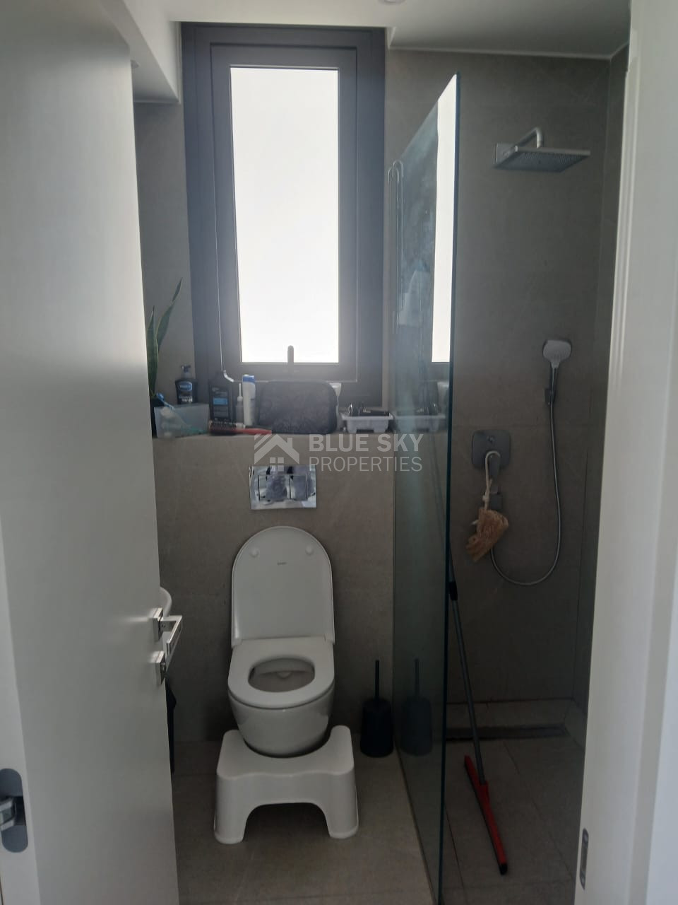 Spacious four Bedroom Home with Sea Views & Private Pool for rent in Chlorakas