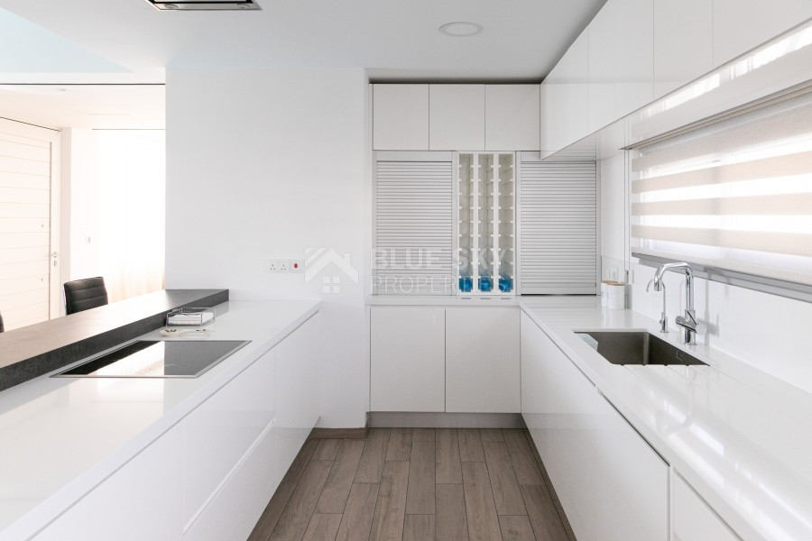 Luxirious Sea Front Villa in Geroskipou Salacia Beach Residence