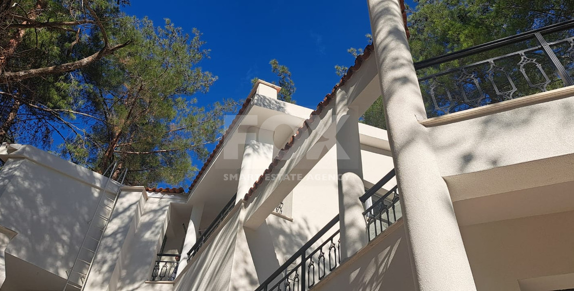 Charming Forest Retreat for Rent in Moniatis