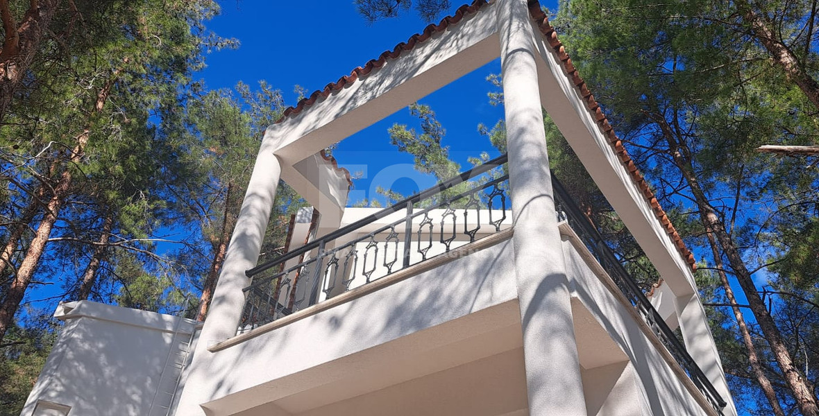 Charming Forest Retreat for Rent in Moniatis