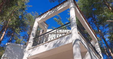 Charming Forest Retreat for Rent in Moniatis