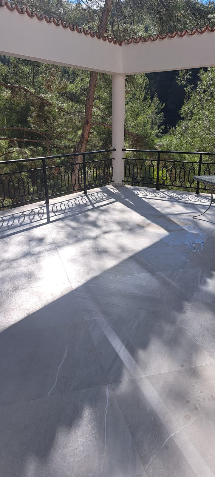 Charming Forest Retreat for Rent in Moniatis