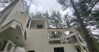 Charming Forest Retreat for Rent in Moniatis
