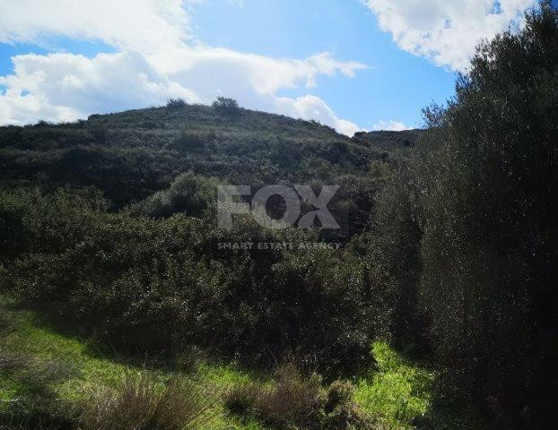 Agricultural Land for Sale in Pachna, Limassol