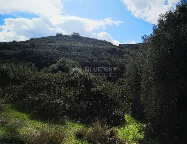 Agricultural Land for Sale in Pachna, Limassol