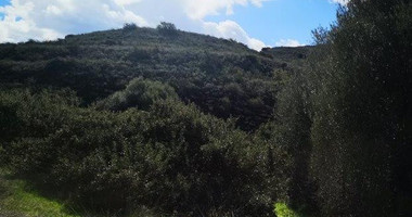 Agricultural Land for Sale in Pachna, Limassol