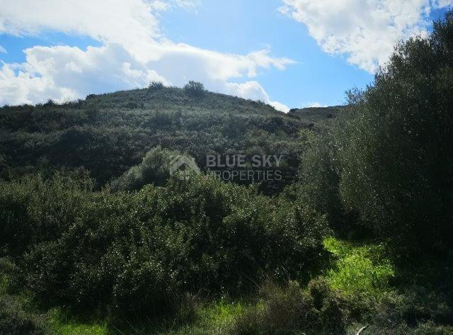 Agricultural Land for Sale in Pachna, Limassol