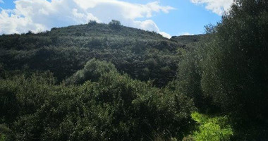 Agricultural Land for Sale in Pachna, Limassol