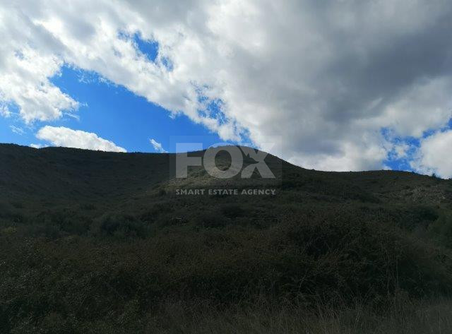 Agricultural Land for Sale in Pachna, Limassol