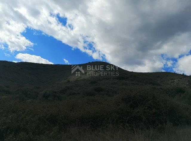 Agricultural Land for Sale in Pachna, Limassol