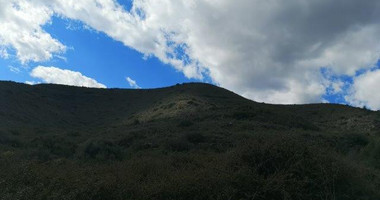 Agricultural Land for Sale in Pachna, Limassol