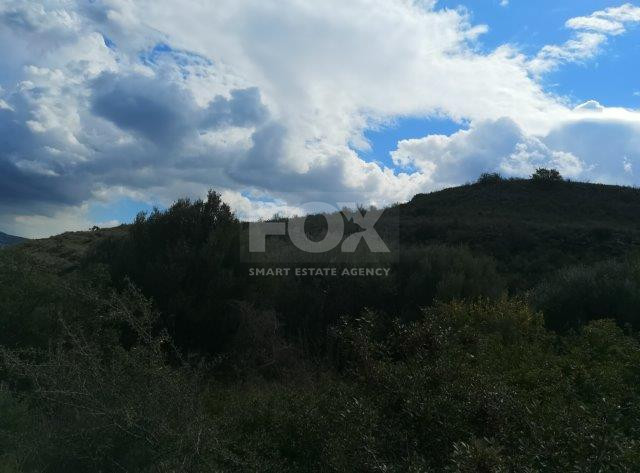 Agricultural Land for Sale in Pachna, Limassol