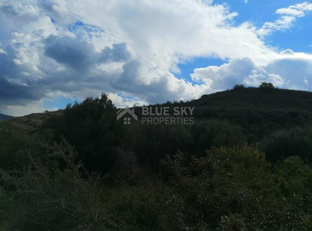 Agricultural Land for Sale in Pachna, Limassol