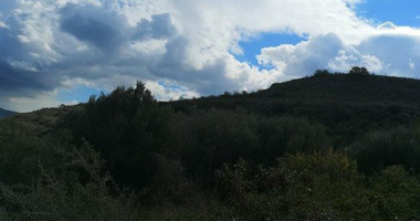 Agricultural Land for Sale in Pachna, Limassol