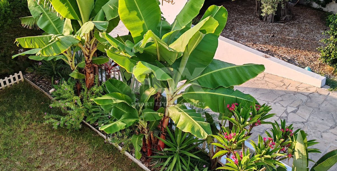 Luxury Four Bedroom Villa for Rent – Comfort, Privacy & Modern Living